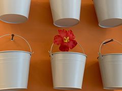 -春莱·泰式奶茶·老挝冰咖啡(湾里庙店)