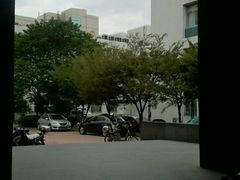 -同济大学四平路校区游泳馆