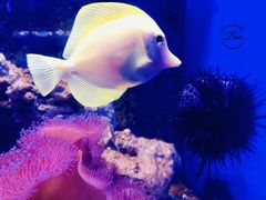 -常州海昌海洋探索馆