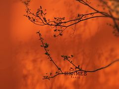 -深圳湾万象城(南山店)