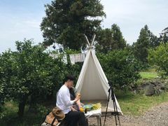 -柑橘农场
