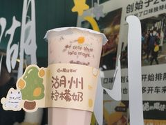 -猫的魔法密林(衣裳街店)