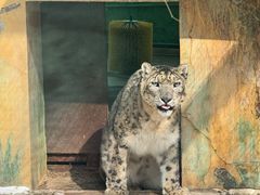-青藏高原野生动物园