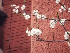 -Hei Cafe(工体店)