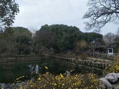 -无锡蠡湖国家湿地公园-蠡园