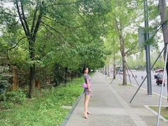 -南湖梦幻岛