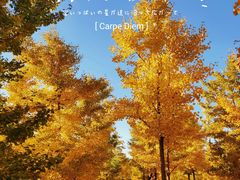 -东升八家郊野公园