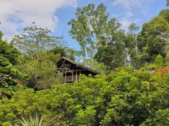 -深圳国际园林花卉博览园