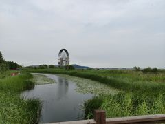 -太湖湖滨国家湿地公园-停车场