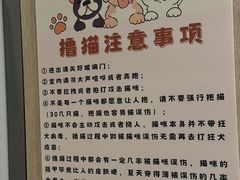 -有喵·猫咖·狗咖·30几只猫10只小狗(岗厦店)