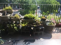 -拉完海鲜大排档(温岭店)
