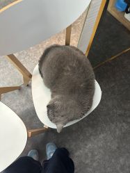 -飛凡TATTOO纹身•原创