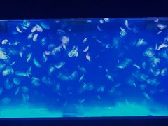 -多彩贵州城极地海洋世界