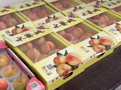 -南汇水蜜桃采摘(大团店)