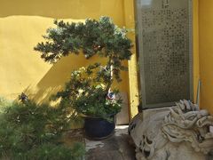 -龙音寺
