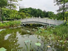 -映月湖公园
