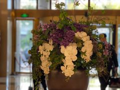 -北京广安门维景国际大酒店