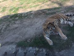 -西安秦岭野生动物园