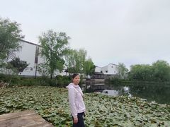 -东梓关景区村庄