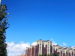 -陕味食族(西小口路店)