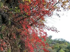 -丹东天桥沟景区