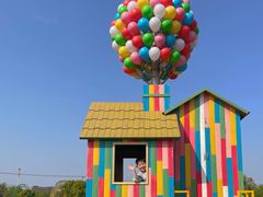 -苏州太湖西山岛开心农场