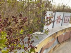 -廊坊市自然公园