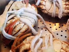 -黄记大闸蟹专卖店·活蟹·醉蟹