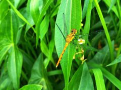 景点-百里山水画廊
