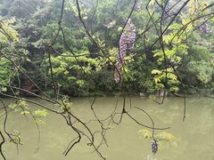 -黔灵山公园