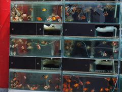 -华声天桥民俗文化园