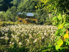 -牛背梁国家森林公园