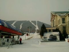-亚布力新体委滑雪场