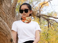 -金塔沙漠胡杨林景区