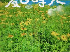 -长春净月潭风景名胜区