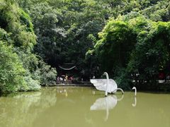 -黔灵山公园
