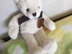 纪念品-济州岛泰迪熊博物馆