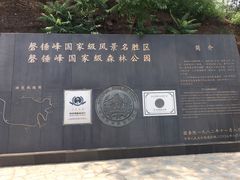 -磬锤峰森林公园