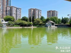 -团结湖公园