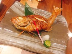 红睦鱼-炉匠炉端烧·酒(国金中心商场店)