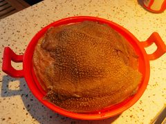 清油毛肚-二荆条·蜀鲜汇城市森林火锅
