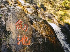 -莫干山风景区