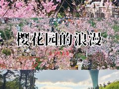 -狐尾山公园