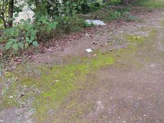 -约翰·菲茨杰拉德·肯尼迪国际机场