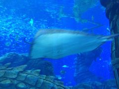 -波塞冬旅游度假区