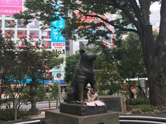 -涩谷区