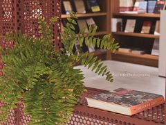 -二酉书店TOYOU BOOKS