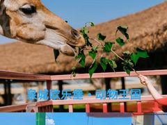 -泉城欧乐堡海洋极地世界