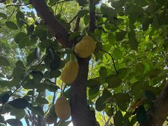 -福建鲤鱼洲酒店