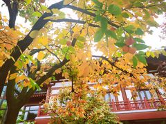 -西安华清御汤酒店